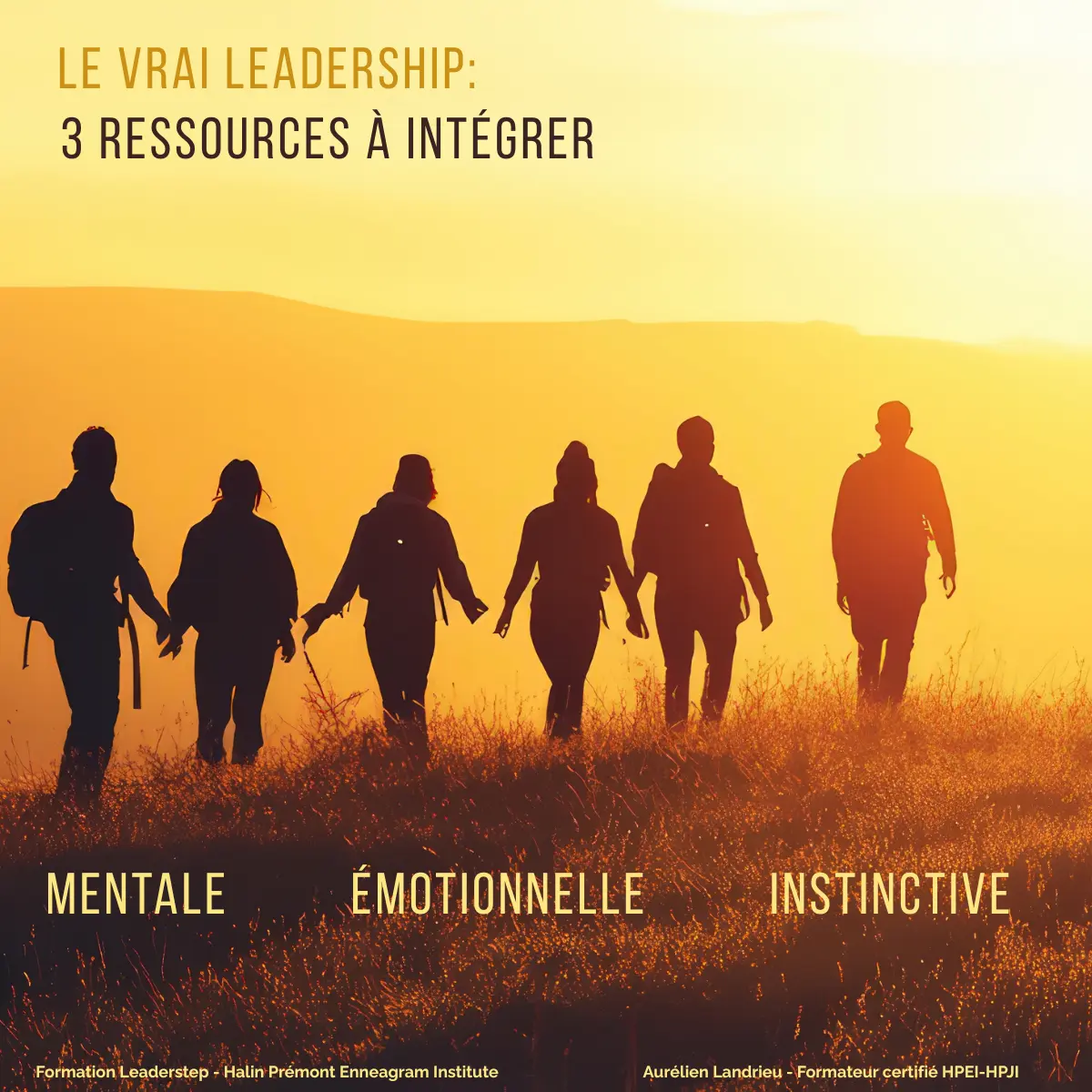 Leaderstep